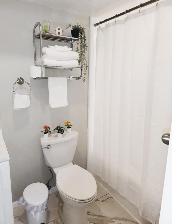 Adorable Mini Suite In Тампа Экстерьер фото